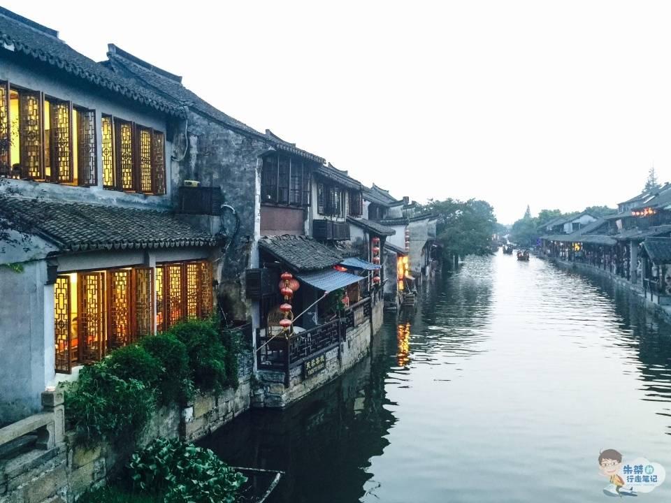 救援受困的老虎